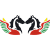 Air Burkina logo