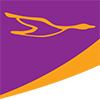 Rise Air logo