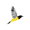Rutaca Airlines logo