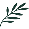 Cyprus Airways logo