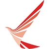 Ruili Airlines logo