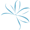 Air Tahiti Nui logo
