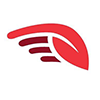 Wasaya Airways logo